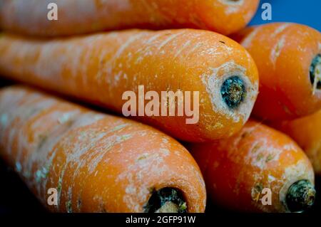 Carrots Stock Photo