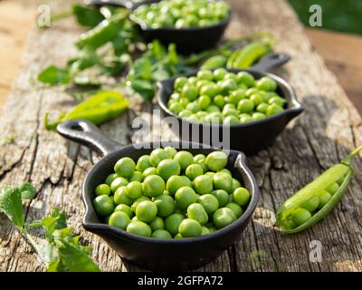 Fresh green peas in bowls, on wood table, seeds, pods Stock Photo
