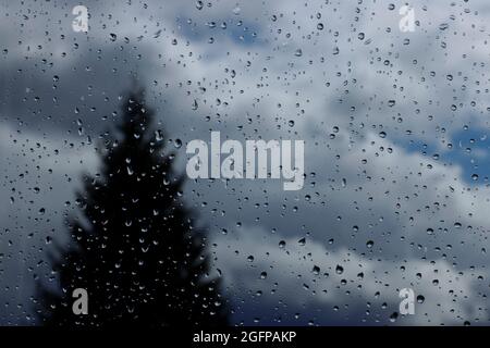 Raindrops on the window pane and the silhouette of a Christmas tree in the window. Stock Photo