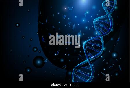 Wireframe DNA molecules structure mesh low poly consisting of points, lines, and shapes on dark blue background. Science and Technology concept Stock Vector