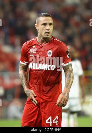 Antwerp's Radja Nainggolan pictured during a soccer game between Belgian team Royal Antwerp FC and Cyprus club Omonia Nicosia, Thursday 26 August 2021 Stock Photo