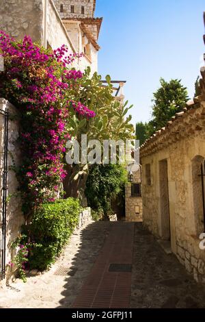 Narrow street in the village of Eze on the French Riviera. Old houses, bougainvillea in bloom, prickly pears, cypresses, jasmine. Stock Photo