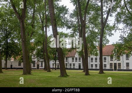 Brugge, Flanders, Belgium - August 4, 2021: Green park courtyard with tall trees and white housing as backdrop in Beguinage. Stock Photo