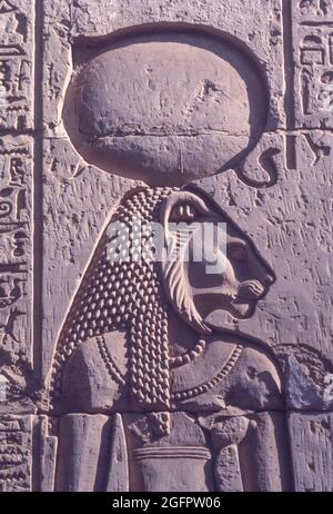 Sekhmet at the Temple of Kom Ombo Stock Photo - Alamy