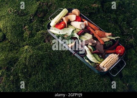 Fresh kitchen scraps in bin on a background of grass. top view. Sustainable and zero waste. . High quality photo Stock Photo