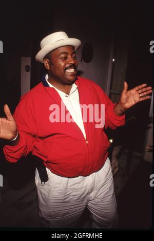 Reginald VelJohnson at the6 ABC TV Affiliates Party on June 12, 1991 at the Century Plaza Hotel in Century City, California.  Credit: Ralph Dominguez/MediaPunch Stock Photo