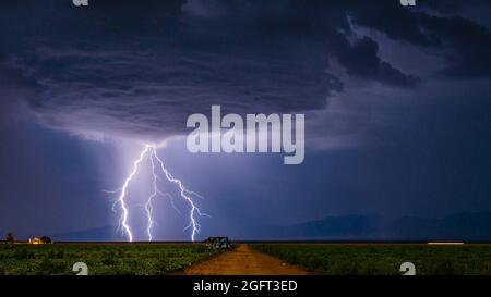 Beautiful lightning strike over a farm field Stock Photo