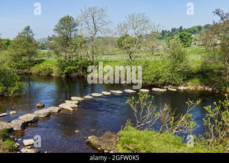 Stepping stones over the River Swale at Healaugh, Swaledale, Yorkshire Dales National Park Stock Photo