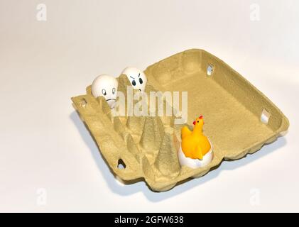 Toy chicken in a hen's egg among. Broken egg and born chick in eggshell. Chicken eggs in a cardboard box with painted emotions on the shell. Egg with Stock Photo