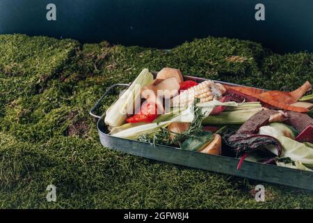 Fresh kitchen scraps in bin on a green background. top view. Sustainable and zero waste. . High quality photo Stock Photo