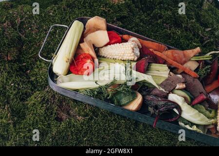 Fresh kitchen scraps in bin on a green background. top view. Sustainable and zero waste. . High quality photo Stock Photo