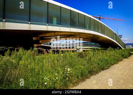 Rolex learning center cheap archdaily