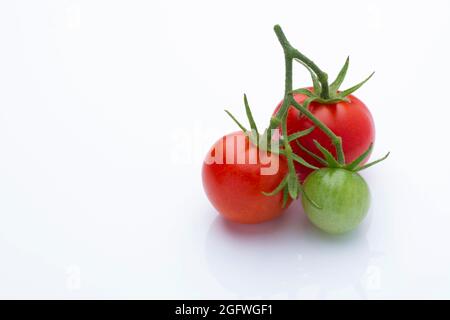 garden tomato (Solanum lycopersicum, Lycopersicon esculentum), red and green tomatoes Stock Photo