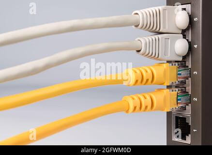 close-up of part of network equipment on white background with connected colored ethernet cables Stock Photo