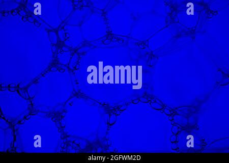 Abstract background and texture of blue bubbles Stock Photo