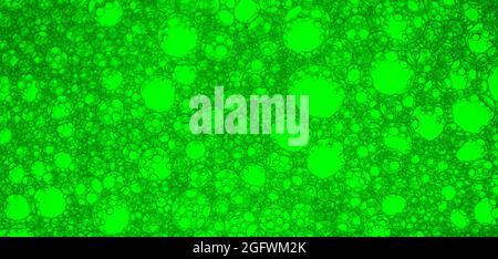 Abstract background and texture of green bubbles Stock Photo