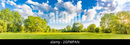 Sunny spring summer landscape, green forest trees, meadow flowers field panoramic vibrant rural nature with cloudy blue sky. Idyllic nature scenic Stock Photo