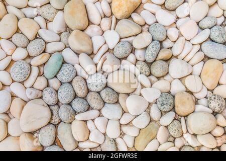 Stone pebbles texture background for interior exterior decoration. Natural nature pattern, pebbles under sunlight. Idyllic, relaxing round shaped Stock Photo