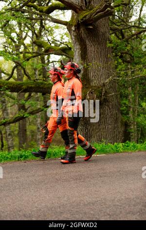 Female lumberjacks walking on forest road Stock Photo