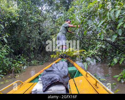 Tropical Rainforest: Green Jungle Landscape with Rain and Fog. Forest Hill  with Majestic Tree in Santa Marta, Colombia. Green Wood, Rainy Day.  Mountain Birdwatching in South America. Royalty-Free Stock Image -  Storyblocks