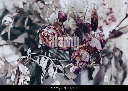 life and withering concept. a bouquet of exquisite wilted roses surrounded by withered green foliage Stock Photo