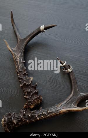 Above view of silver designers rings hanging on antlers placed on black surface Stock Photo