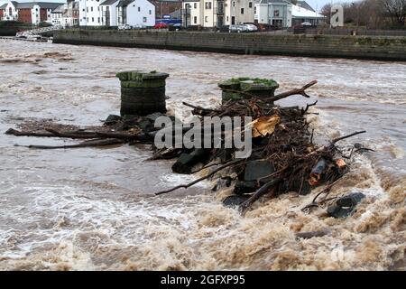 Ayr, Ayrshire, Scotland . Tree and debris caught in River Ayr Stock Photo