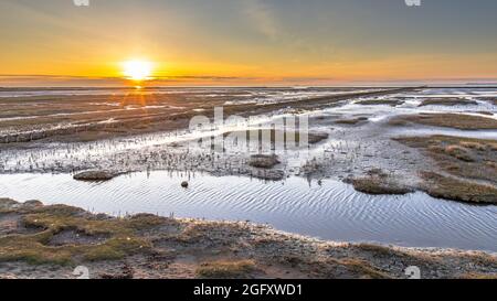 Aerial view over salt marsh plains on the Wadden Sea coast. Uithuizen, Groningen Province. Stock Photo