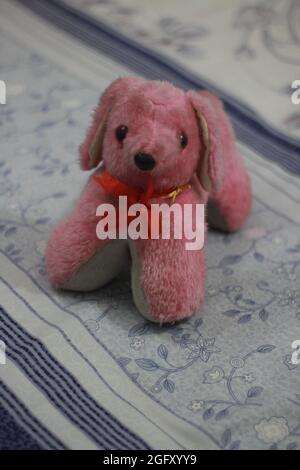 The beautiful puppy with toy Stock Photo