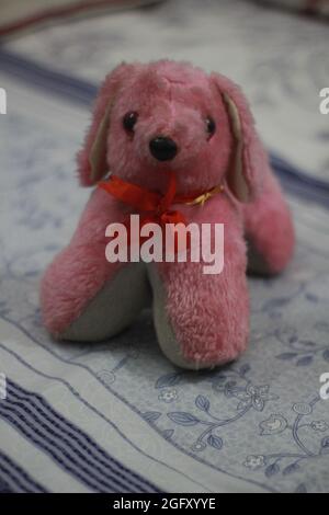 Beautiful Puppy on the bed. Stock Photo