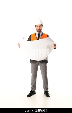 Focused engineer looking at blueprint on white background Stock Photo