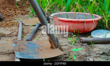 Agriculture tools, tools on fertile soil texture background seen from above, top view. Gardening or planting concept. Working in the spring garden. Stock Photo
