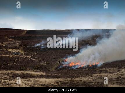 Burning heather in the scottish hills, Cairngorms Stock Photo