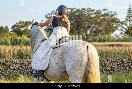 Lusitano horse, white mare, female rider, outdoors on pasture. Stock Photo