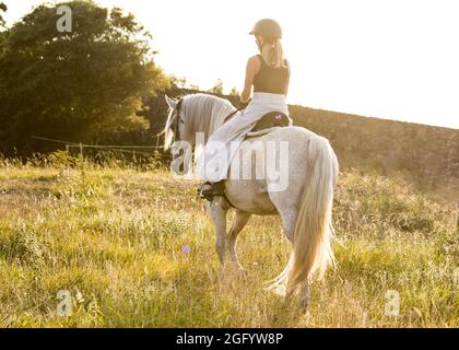 Dressage rider, female, on Lusitano mare, on pasture outdoors. Stock Photo