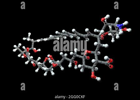 Amphotericin B antifungal drug molecule, illustration. Chemical formula is C47H73NO17. Atoms are represented as spheres: carbon (grey), hydrogen (white), nitrogen (blue), oxygen (red). Stock Photo