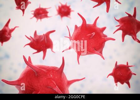 Activated platelets in a blood smear with red blood cells, illustration ...