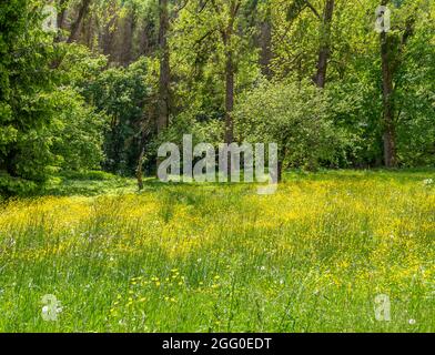 Sunny idyllic spring time scenery around Jagst valley in Hohenlohe, a district in Southern Germany Stock Photo