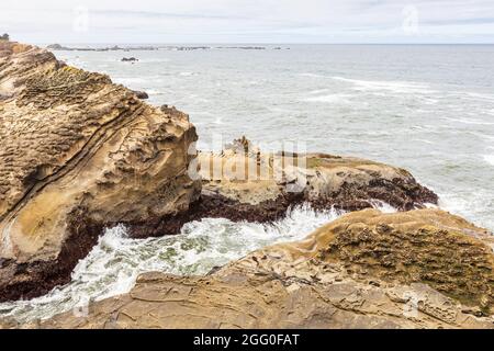 Shore Acres State Park, Oregon, USA. Surf and cliffs on the Oregon coast. Stock Photo