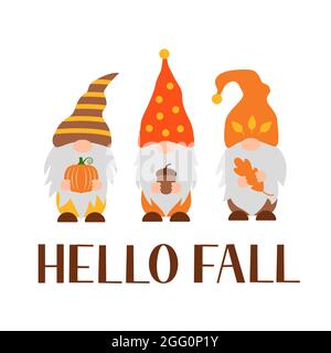 Autumn gnomes. Hello fall lettering. Cute cartoon characters. Vector template for banner, poster, greeting card, t-shirt, etc. Stock Vector