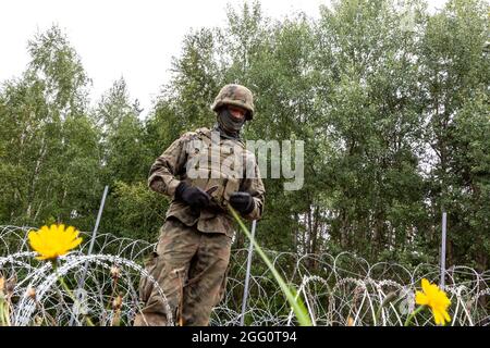 Soldiers of the Polish Army build a fence with concertina wire at the border with Belarusian in Krynki, Poland on 27 August, 2021. In August Poland experienced influx of immigrannts from the Middle East. The Polish government decided to build a fence to put a stop to the migrants walking across the Belarus border, which is also the border of the European Union. Poland accuses the Lukashenko regime of orchestrating the transit of thousands of migrants from the Middle East to put pressure on the EU. (Photo by Dominika Zarzycka/Sipa USA) Stock Photo