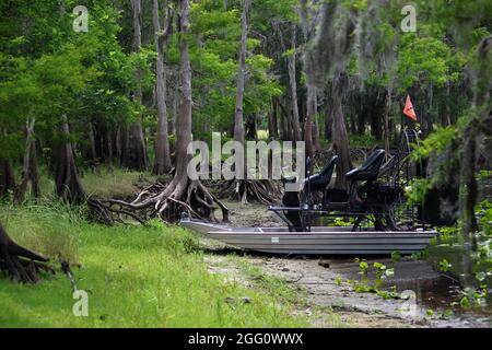 Always relaxing taking an airboat ride to a quiet tree lined beach Stock Photo