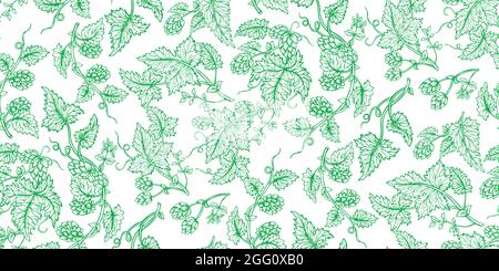 Hop plant branch hand drawn green sketch set. Hops with leaves and cones angular herb design drawn engraving style. Sketches for beer packing design logo, label, emblem, packing, pattern Stock Vector