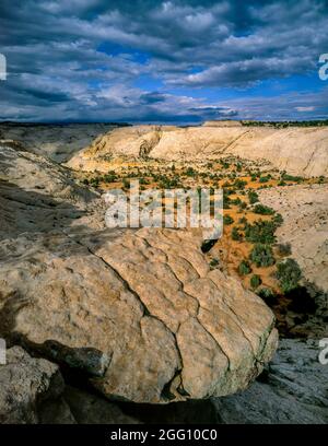 Death Hollow, Grand Staircase-Escalante National Monument, Utah Stock Photo