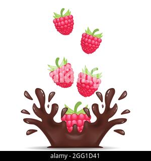 dropping raspberry make the splash chocolate Stock Vector