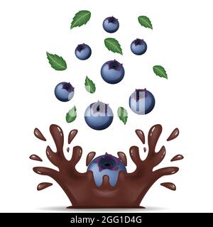 dropping blueberry make splash chocolate with flying leaves on white background Stock Vector