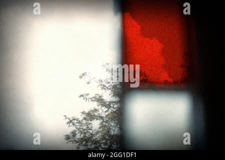 Sky and trees through a stained glass window Stock Photo