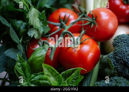 Tomatoes, brocoli, green onions, and basil close up Stock Photo