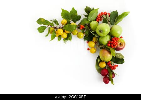 Framework with Autumn yellow, orange and red vegetables and fruits on white background, top view, flat lay. Autumn background. Stock Photo