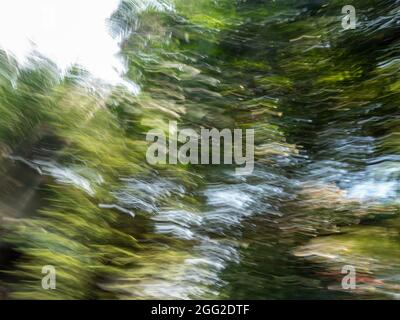 Motion blurred leaf of the trees along the road as the cars pass by Stock Photo
